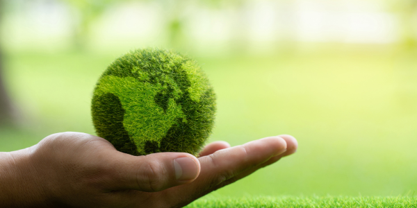 Benefits of Renting Equipment