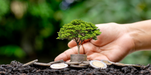 Sustainable Practices in Healthcare