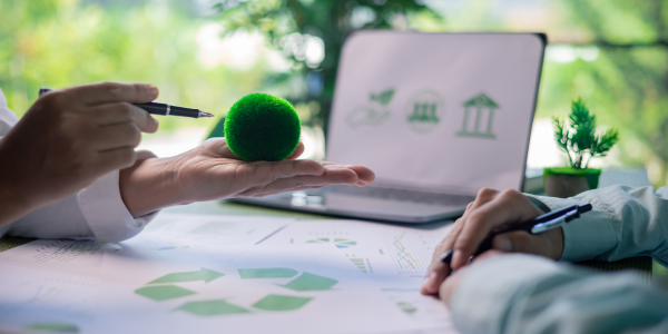 Reducing Waste with Rentals