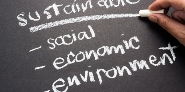 Tips for Eco-Friendly Rental Companies